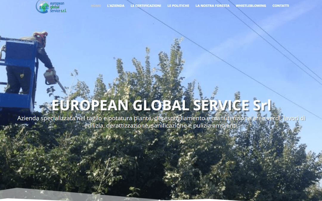 EUROPEAN GLOBAL SERVICE